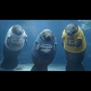 Meet your Posher, Tanya